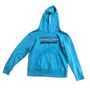 2019 Patagonia Hoodie Big Logo Large Blue